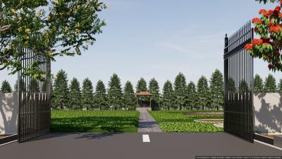 Project Images