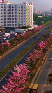 Project Image of 992.0 - 2040.0 Sq.ft 2 BHK Apartment for buy in KG Impressions