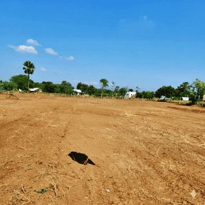 Periyar Nagar Plot 2