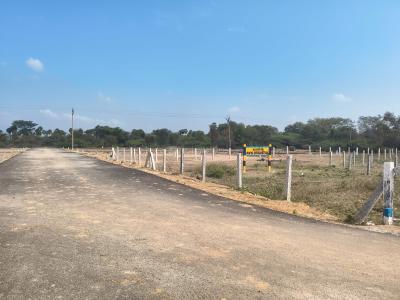 Project Image of 428.0 - 895.0 Sq.ft Residential Plot Plot for buy in MSP AVS Avenue