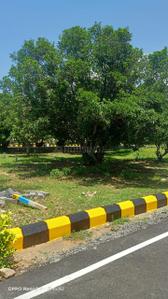 Project Image of 529.0 - 1328.0 Sq.ft Residential Plot Plot for buy in Anand Greenfield Enclave Extension