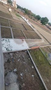 Project Image of 800.0 - 2000.0 Sq.ft Residential Plot Plot for buy in Dev Saundaryam
