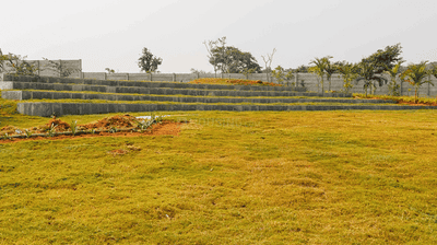 Project Image of 1200.0 - 2400.0 Sq.ft Residential Plot Plot for buy in Sattva Pipal Tree