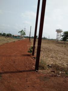 Project Images