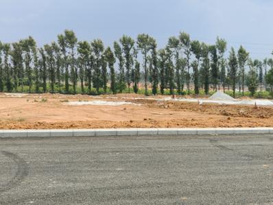 Project Image of 1200.0 - 4000.0 Sq.ft Residential Plot Plot for buy in Adarsh Savana