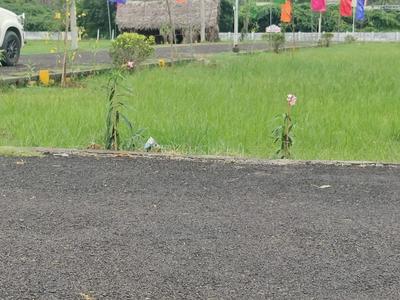 Project Image of 1201.0 - 2861.0 Sq.ft Residential Plot Plot for buy in PREMIER JJ NAGAR