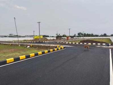 Project Image of 600.0 - 1200.0 Sq.ft Residential Plot Plot for buy in Real Kalyani Avenue