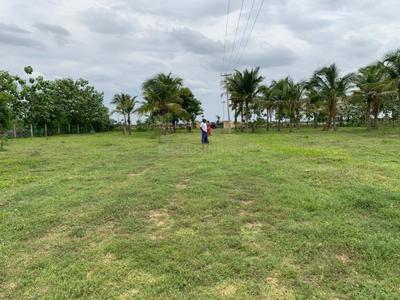 Project Image of 1200.0 - 2352.0 Sq.ft Residential Plot Plot for buy in Sri Arunachaleswarar Nagar