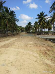 Project Image of 600.0 - 4800.0 Sq.ft Residential Plot Plot for buy in Accord Ranch City