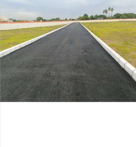 Project Images