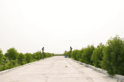 Project Image of 200.42 - 14255.4 Sq.ft Residential Plot Plot for buy in Evergreens Kohinoor