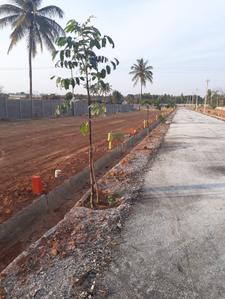 Project Image of 1199.96 - 1499.95 Sq.ft Residential Plot Plot for buy in Itsmyhome Inchara