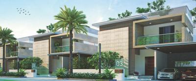 Project Image of 3540.0 - 3817.0 Sq.ft 3 BHK Villa for buy in Cadol Cashmere Court