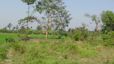 Project Image of 720.0 - 2160.0 Sq.ft Residential Plot Plot for buy in Twinrock Sharnabhumi
