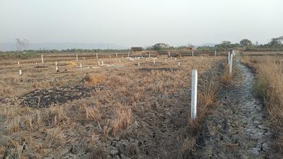 Urban Pirkone Plot 1
