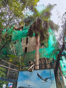 Project Image of 930 Sq.ft 2 BHK Apartment / Flat for sale in Dadar West for Rs. 56000000