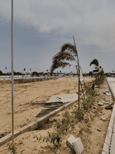 Project Image of 633.99 - 2223.93 Sq.ft Residential Plot Plot for buy in Shyamashish Padam Vatika
