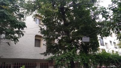 Project Image of 1802.0 - 1991.0 Sq.ft 3 BHK Villa for buy in MACC Sunrise