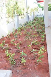 Project Image of 1125.0 - 1594.0 Sq.ft 2 BHK Apartment for buy in Malar Garden