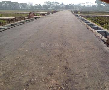 Project Image of 1400.0 - 7795.0 Sq.ft Residential Plot Plot for buy in Cosmos Green City