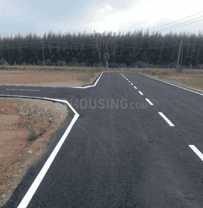 Project Images
