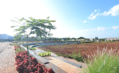 Project Image of 600.0 - 5026.53 Sq.ft Residential Plot Plot for buy in Sattva Green Groves