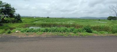 Project Image of 1000.0 - 10000.0 Sq.ft Residential Plot Plot for buy in Dream Land Plots In Chirle