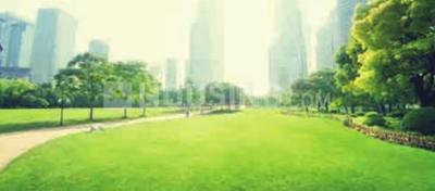 Project Image of 296.0 - 453.0 Sq.ft 1 BHK Apartment for buy in JP North Imperia Tower 1