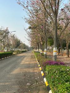 Project Image of 1131.73 - 5427.32 Sq.ft Residential Plot Plot for buy in Ajmal Flora Valley Phase II
