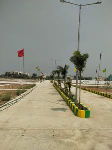 Project Image of 800.0 - 1500.0 Sq.ft Residential Plot Plot for buy in Properticks Sai Avenue