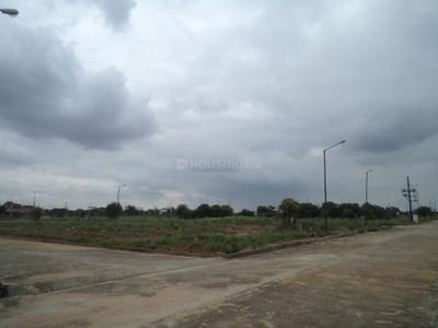 Confident Cygnus 2 Images for Elevation of Confident Cygnus 2 1