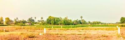 Goal City Elevation 1