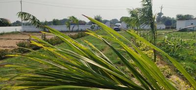 Project Image of 450.0 - 1800.0 Sq.ft Residential Plot Plot for buy in Flowerish Garden City Residential Plots