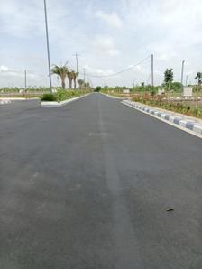 Project Image of 1485.0 - 2970.0 Sq.ft Residential Plot Plot for buy in T Homes Alavaikuntapuram II