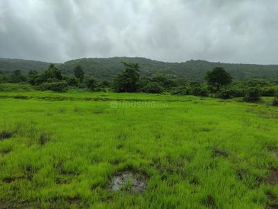 Project Image of 1000.0 - 10000.0 Sq.ft Residential Plot Plot for buy in Trivikram Infra Plot In Belondekhar Mahamumbai