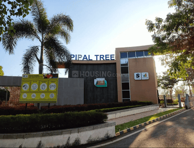 Project Image of 1200.0 - 2400.0 Sq.ft Residential Plot Plot for buy in Sattva Pipal Tree
