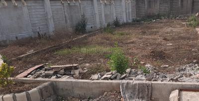 Project Images