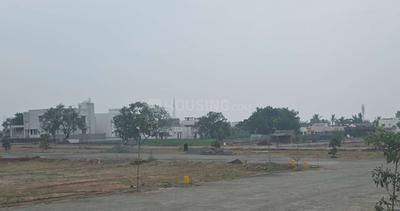 Yal Plot 3