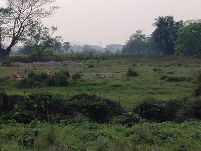 Project Image of 720.0 - 2160.0 Sq.ft Residential Plot Plot for buy in Niharika