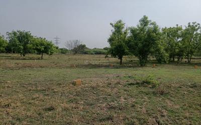 Project Image of 1050.0 - 1855.0 Sq.ft Residential Plot Plot for buy in Sri Ram Nagar
