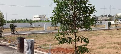 Project Image of 600.0 - 2646.0 Sq.ft Residential Plot Plot for buy in 3S KCP Garden