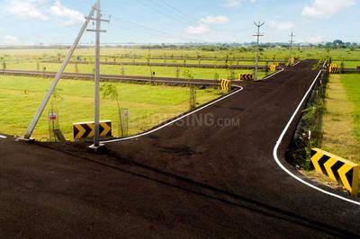Project Images