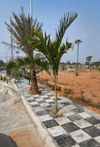 Project Image of 250 Sq.ft Residential Plot / Land for sale in Thummaloor for Rs. 6250001