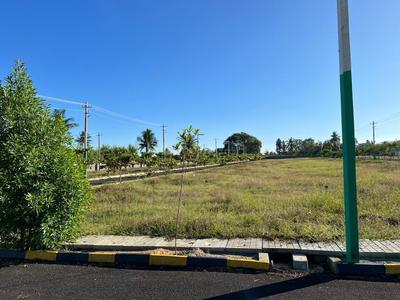 Project Image of 1200.0 - 1500.0 Sq.ft Residential Plot Plot for buy in Golden Green City