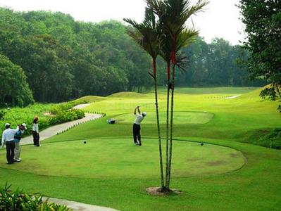 Project Image of 1350.0 - 1450.0 Sq.ft 3 BHK Apartment for buy in Imperia Mirage Homes