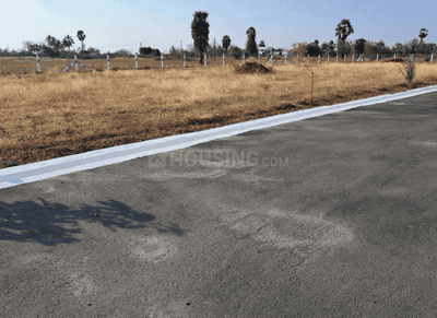 Project Images