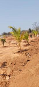 Project Image of 1440.0 - 2718.0 Sq.ft Residential Plot Plot for buy in Sahasra Mango Garden