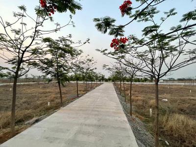 Project Image of 600 Sq.ft Residential Plot / Land for sale in Pacheda 1 for Rs. 600000