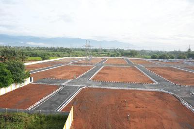 Project Images