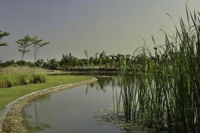 Project Image of 4320.0 - 10125.0 Sq.ft Residential Plot Plot for buy in Synthesis Suramya Lifespace